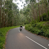 nainital road tour