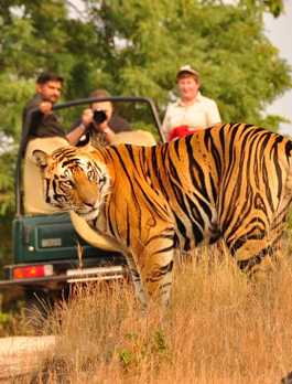 Big Breaks Wildlife Tour