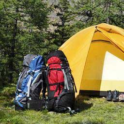 Domestic Travel Protection