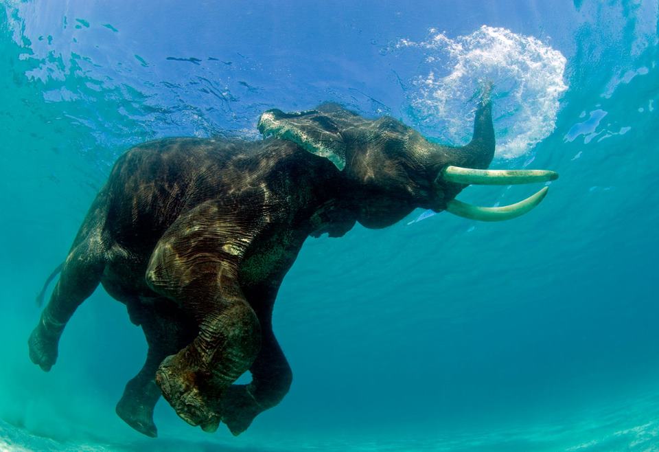 BREATHTAKING ANDAMAN WITH PORT BLAIR AND HAVELOCK